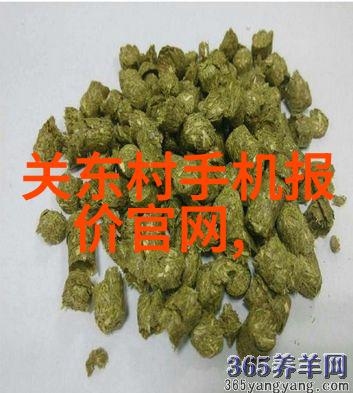 水力发电项目实施时的环保材料使用实例分析