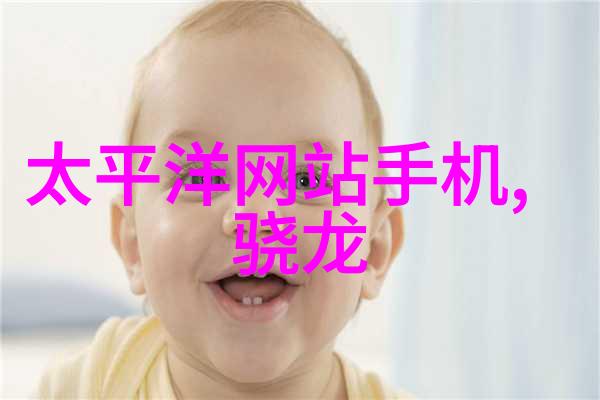 反应釜的多样化选择从常规到特殊型号