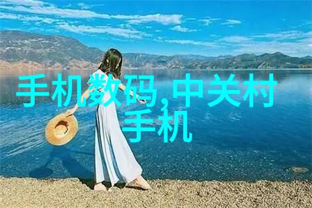 油烟净化系统与高效排烟技术集成的家用清洁机器人