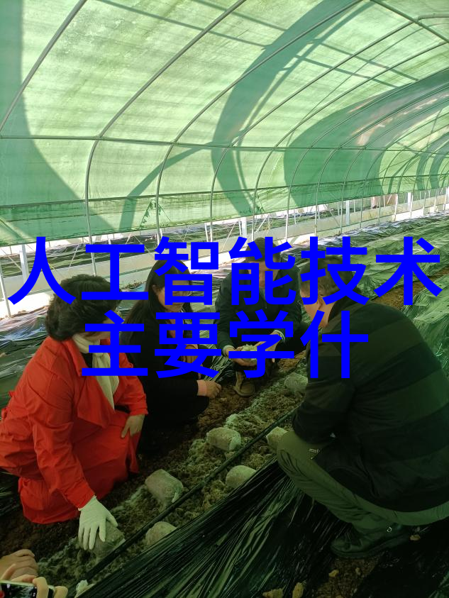 中式家装艺术与文化内涵的探究传统元素在现代居住空间中的再创造与应用