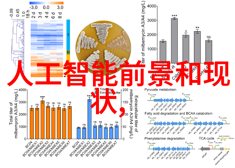 深圳装修设计公司-创意空间转型如何打造个性化的居家生活环境