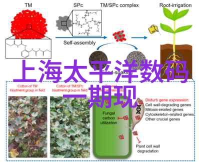 重庆水利电力职业技术学院培育水电英才的摇篮