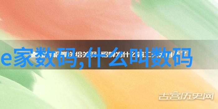 浪漫鲜花语言指南50种表达爱意的花语秘密