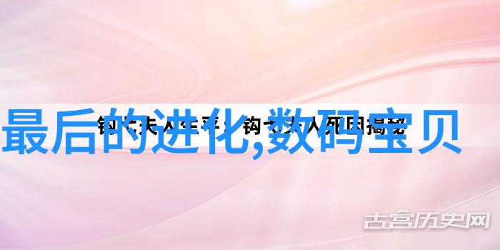 水位显示仪的工作原理及其在水库管理中的应用