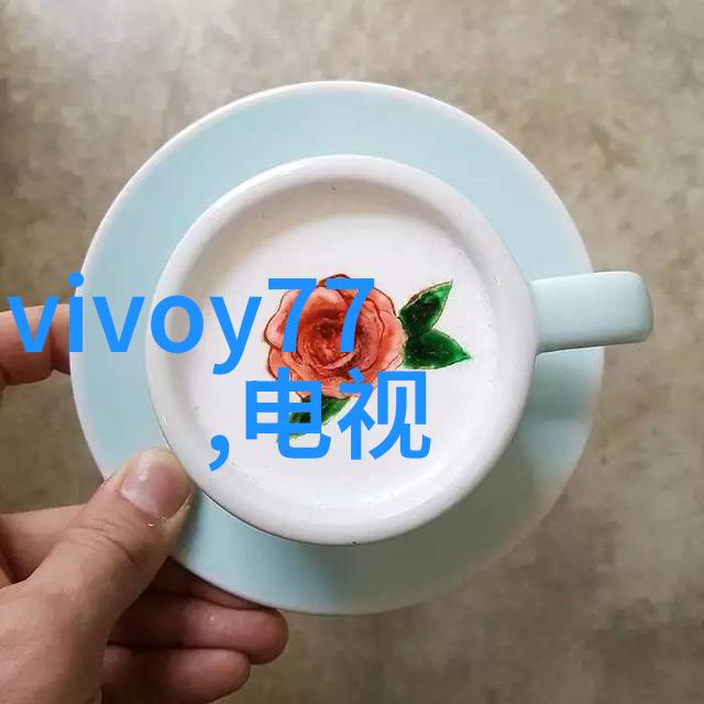 塑料灯笼球CPVC双层花环CPVC灯笼环填料pvc配方精致对偶装饰品