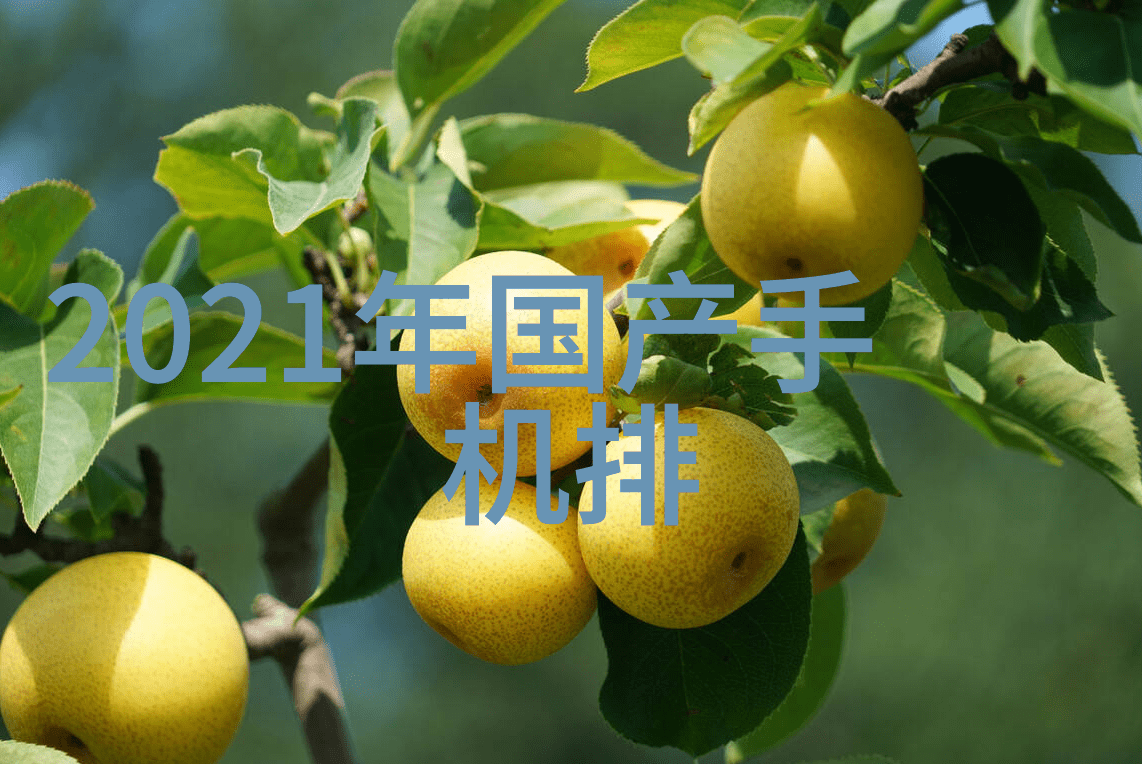 企业微信打造高效沟通的新平台