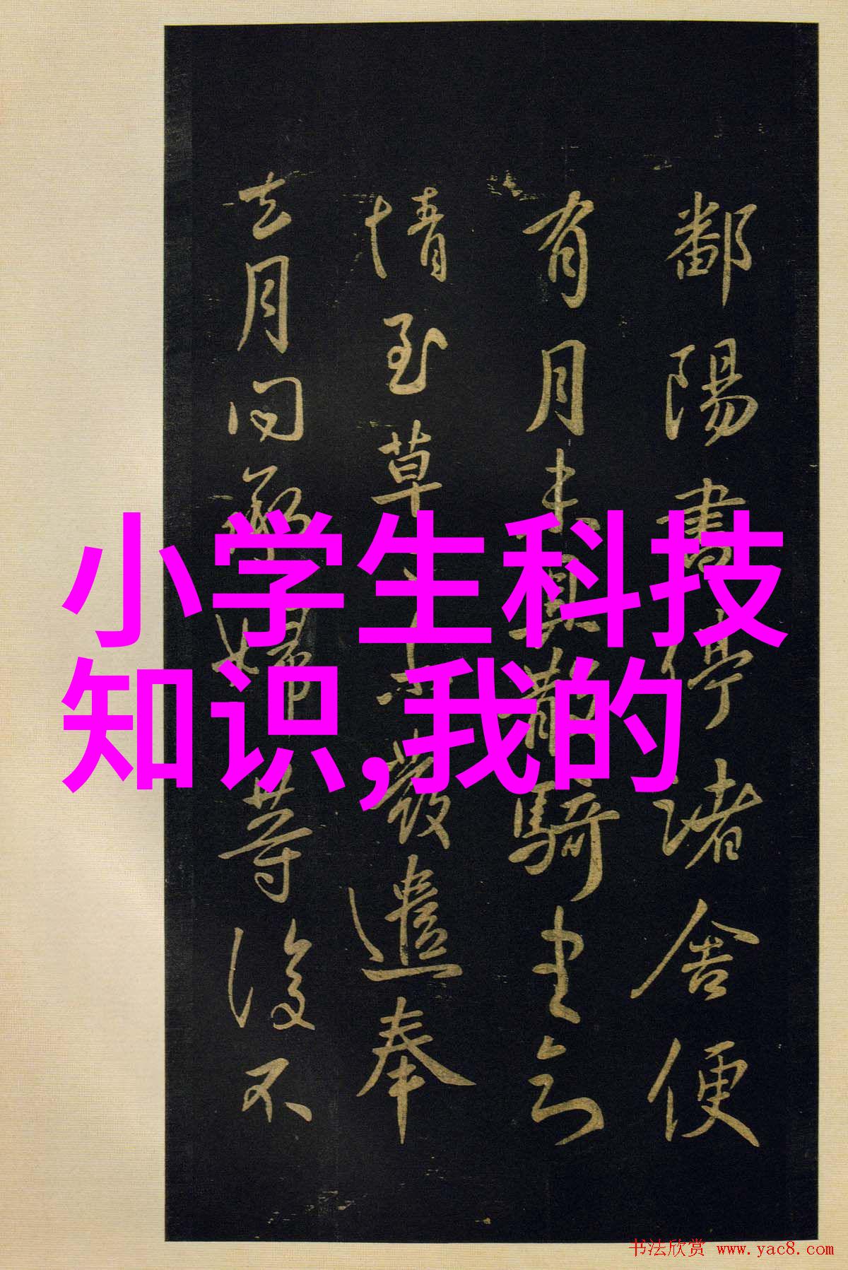 构筑职业成就档案学术视角下的个人工作总结报告编写策略