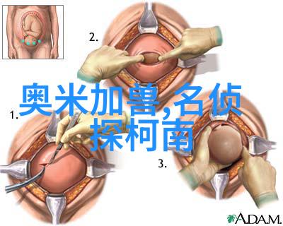 手机人工智能开发你需要学什么专业