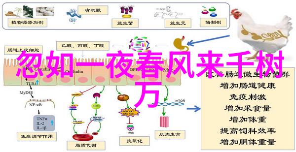 逆风骑士摩托梦之旅与那不可能的邀约