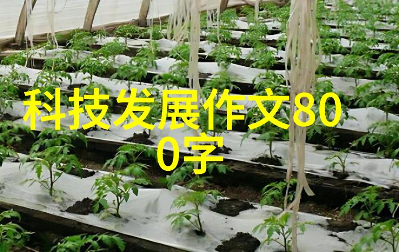 手慢无华为WATCH4智能手表上市打破社会最好智能手表排名仅需2599元