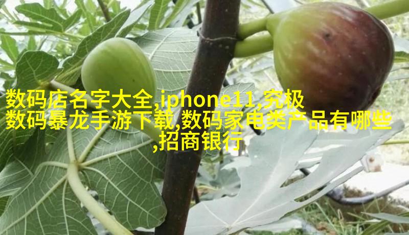 植物性 塺满材料