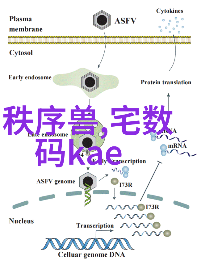 智能环保装备技术在环境监测中的应用有哪些创新之处