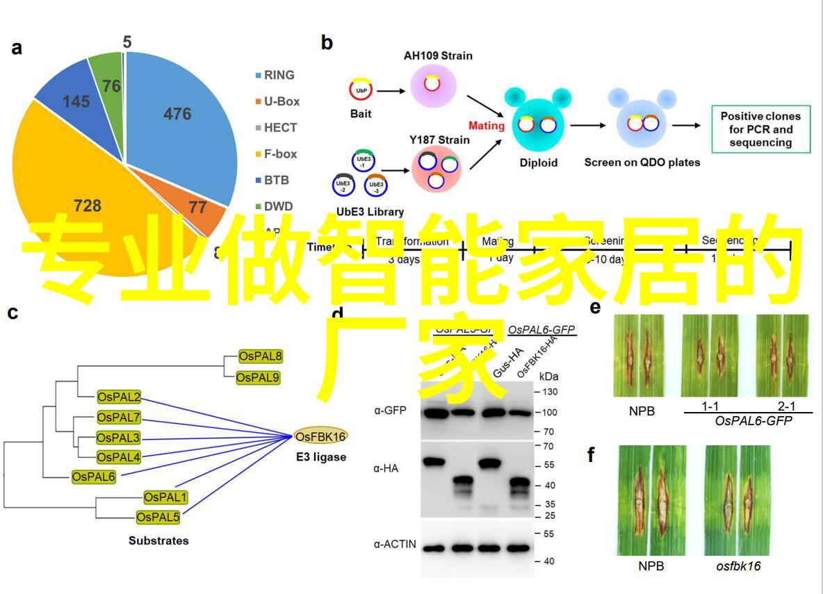 智能制造管理系统未来的生产力奇迹还是隐患重重的科技陷阱