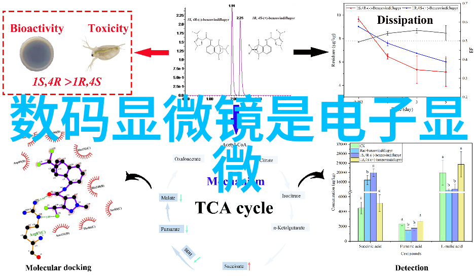 在药品行业颗粒剂机械能提供哪些特定的解决方案