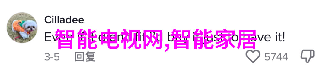 镜头选择如何根据场景选用合适的镜头