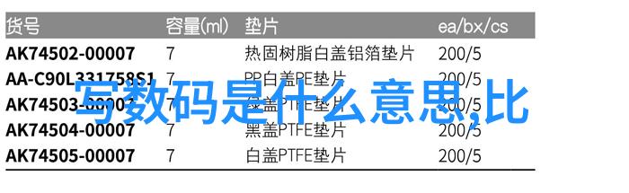 捕捉精彩专业拍摄技巧与艺术的融合