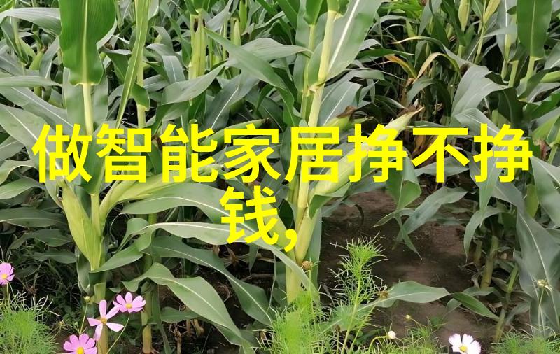 苹果6s plus智能生活的无缝体验