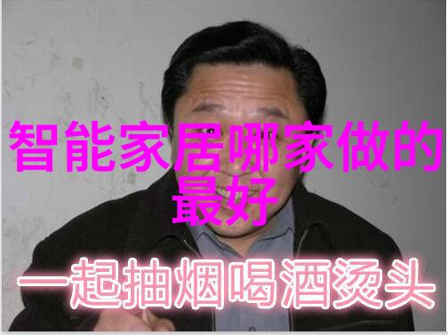 从梦想到现实小鸭子如何成为圣吉奥