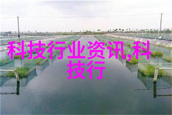 工程建设的精英探索建造师职业的魅力与挑战