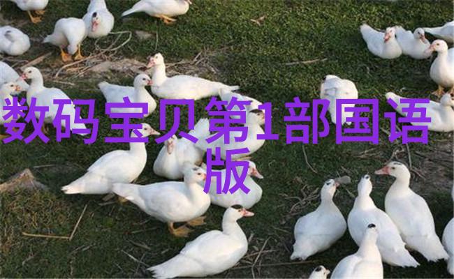 厨房梦变现揭秘装修先后之谜