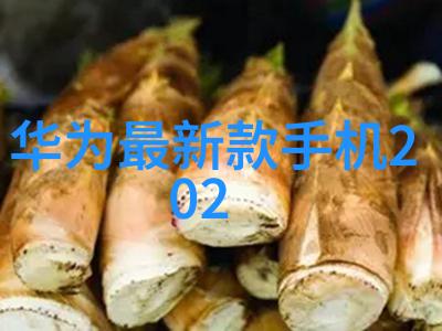 北京单反摄影器材城佳能EOS R8相机初期月产量为11000台你知道这个数字有多庞大吗