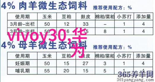 工作汇报报告总结