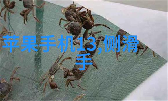 夏日冷藏管理选择适合你冰箱的0-7档设置夏天冰箱温度调节指南