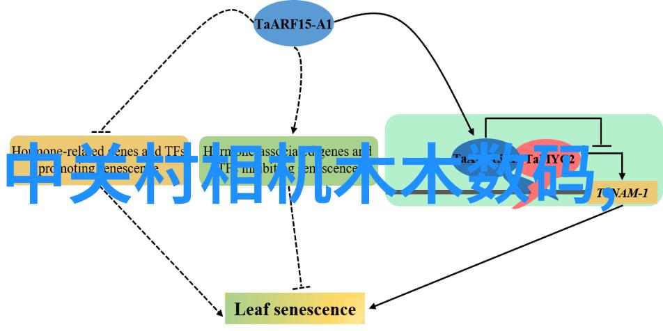 科技巨头联手开发新一代人工智能系统