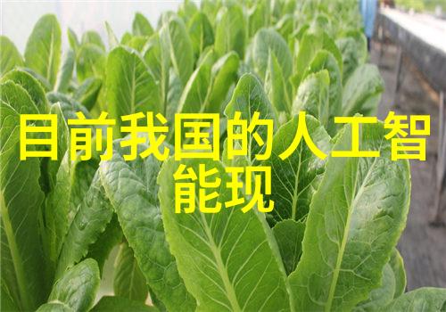 不锈钢填料是干什么用-不锈钢填料的应用与优势提高设备效率与耐久性