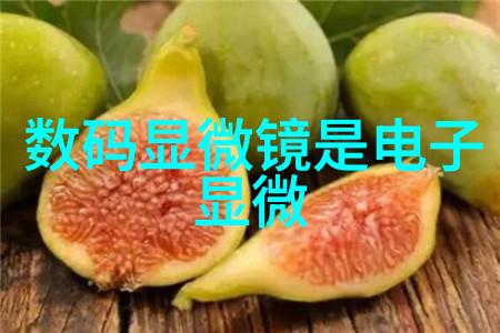 什么是最佳的丝网波纹填料使用环境和条件