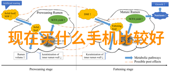 情感纽带卡片情话中的最暖心一段话