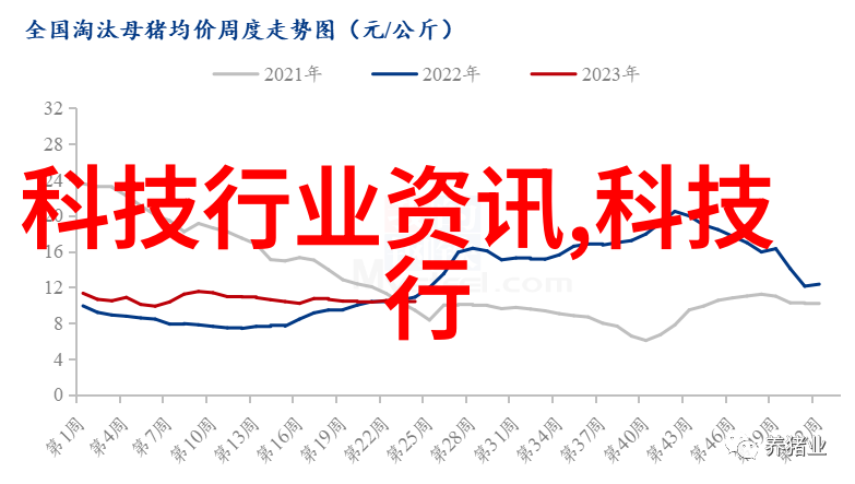 合影我和朋友们的那次山海边上的美好聚会