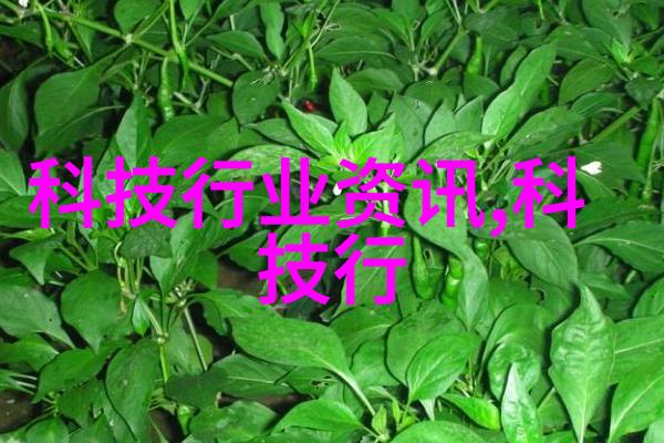 手机管理大师优化体验节省电量的高效策略