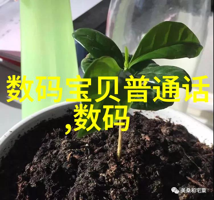 婚礼风尚热潮摄影展网站显示大理目的地婚礼增长达275