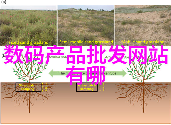 科学生会组织科协权力究竟有多大