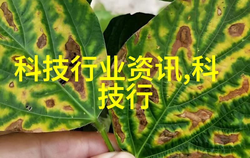 在数字时代的幕布拉开之前我们真的准备好迎接打开数码网的新篇章了吗