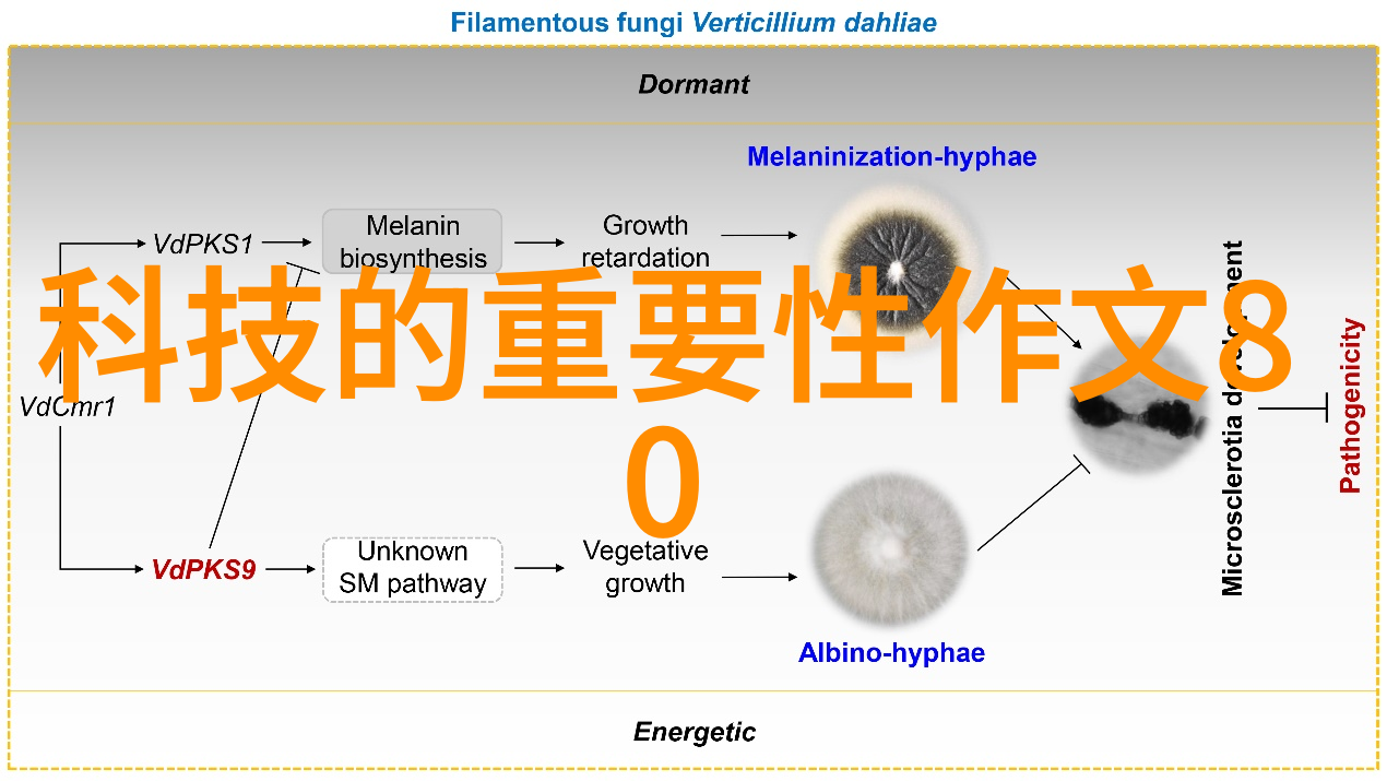 人工智能革新AI技术发展方向