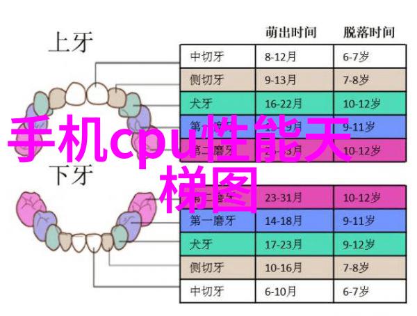 从中国摄协的历史看其对文化传承的贡献