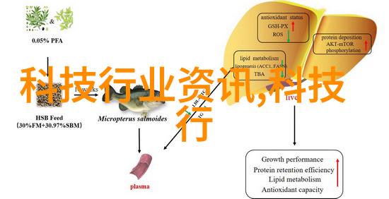 练明乔揭秘古代武侠世界中的神秘修炼之道