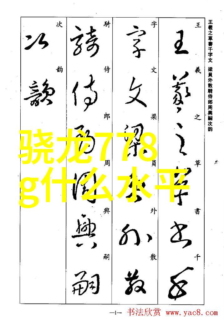 向公众募集项目资金申请报告详细的财务预算与投资回报分析