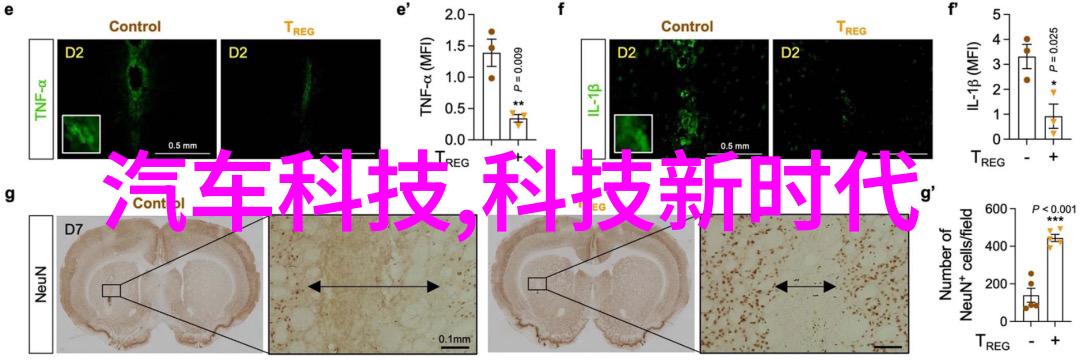 芙蓉诀 电视剧-重燃往昔芙蓉诀的爱与誓言