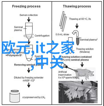 数码宝贝守护者与伙伴的编码之旅