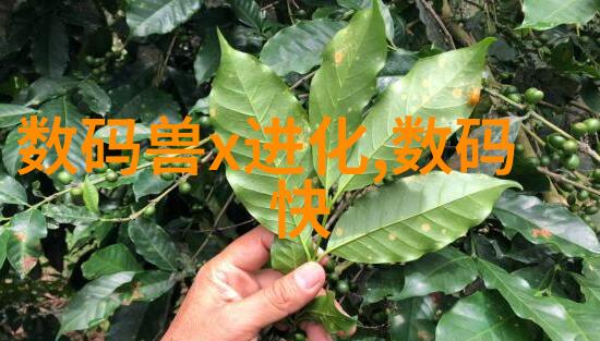 深圳三大蔬菜批发市场-品味深圳揭秘三大蔬菜批发市场的鲜活传奇