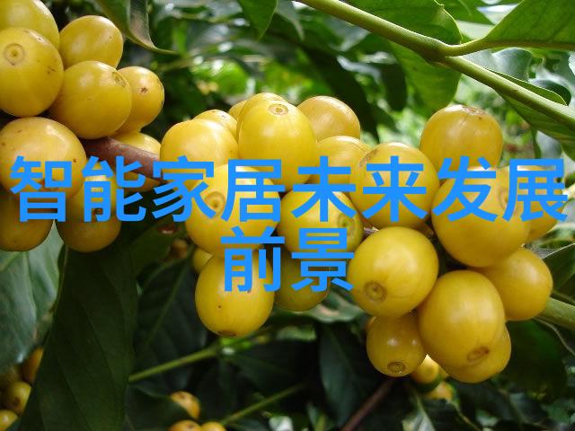 数字芯片微观奇迹宏观驱动力