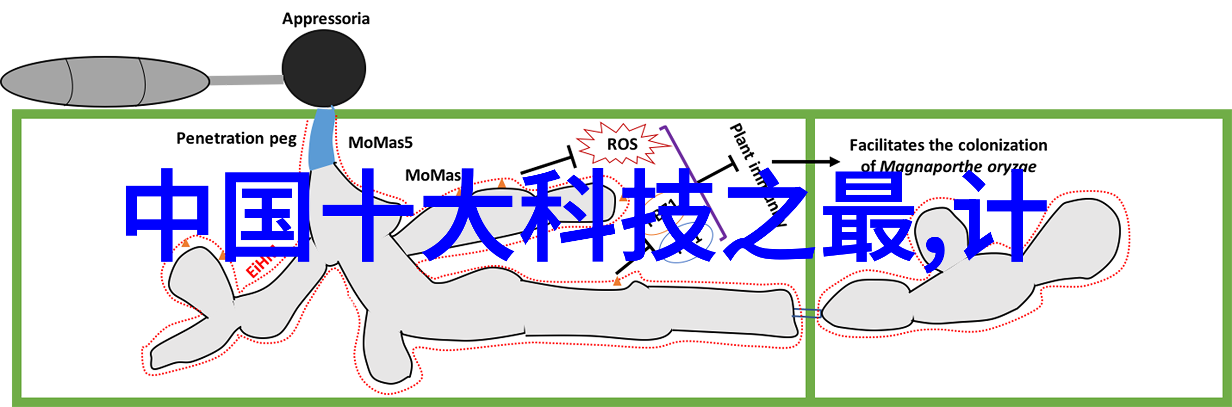 智慧创造五年级科技小制作大全