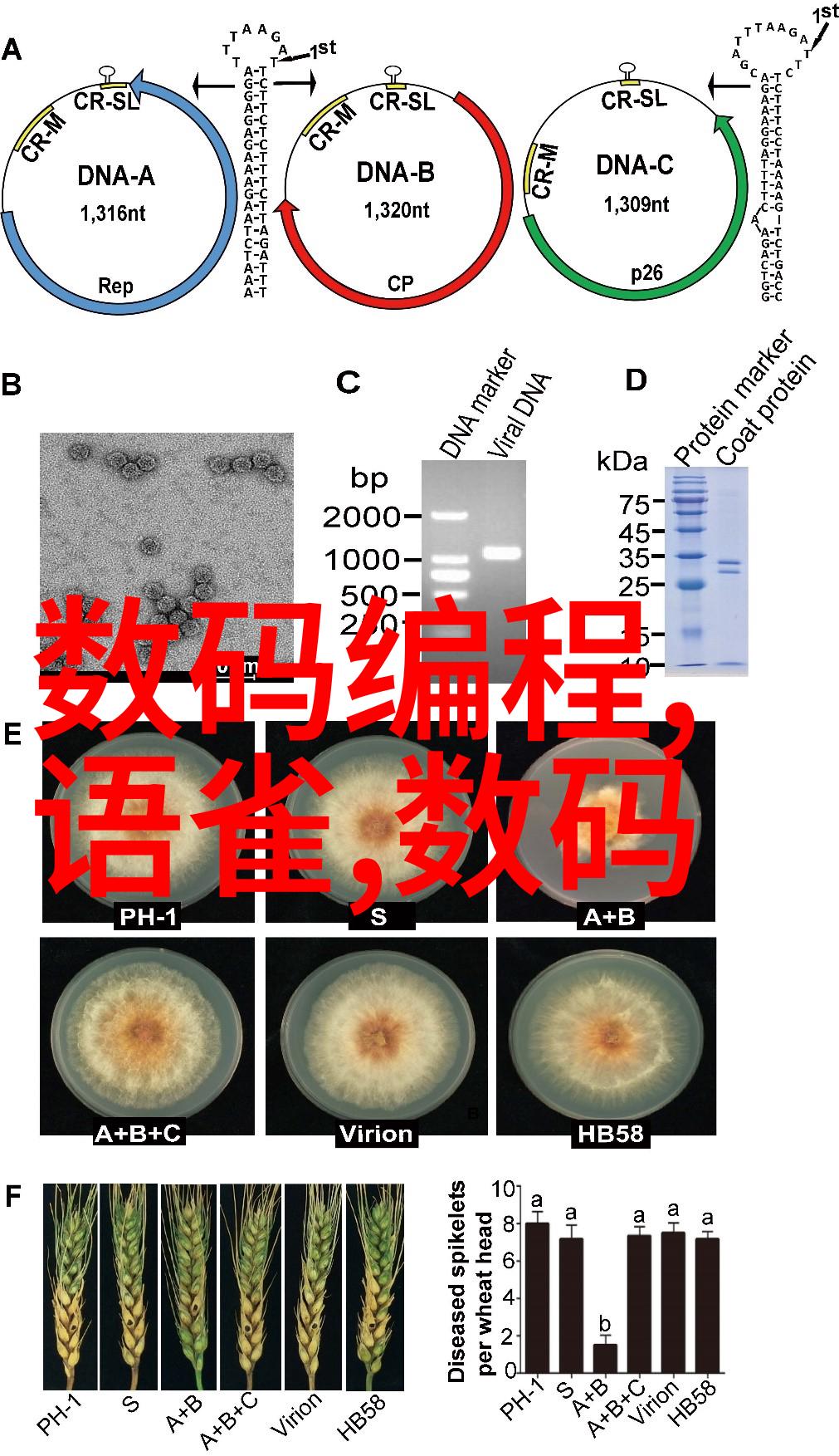 华强北s7智能手表靠谱吗亲自试用后我是怎么看的