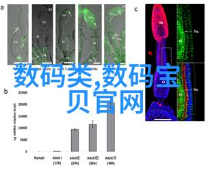 时代科技革新未来的征程时代科技如何引领现代科技发展