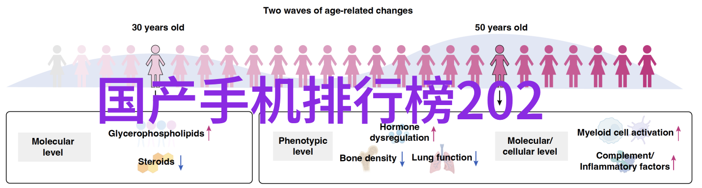 绿色循环净水设备的智慧之源