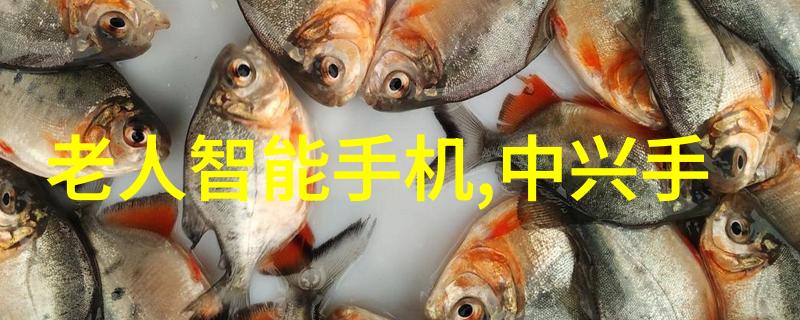 智能医疗装备技术高级诊断系统远程健康监测设备个性化治疗方案