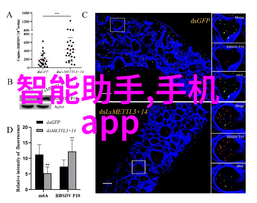 仪器测试探秘科技的试金石